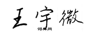 王正良王宇微行书个性签名怎么写
