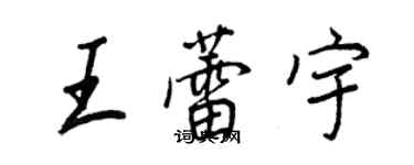 王正良王蕾宇行书个性签名怎么写