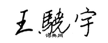 王正良王骁宇行书个性签名怎么写