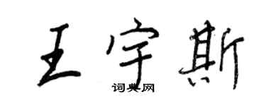 王正良王宇斯行书个性签名怎么写