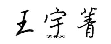 王正良王宇菁行书个性签名怎么写