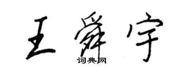 王正良王舜宇行书个性签名怎么写