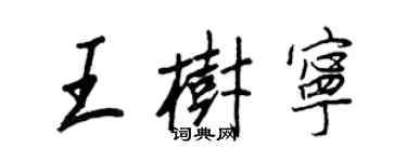 王正良王树宁行书个性签名怎么写