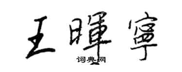 王正良王晖宁行书个性签名怎么写