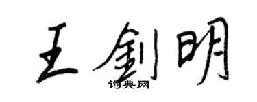 王正良王剑明行书个性签名怎么写