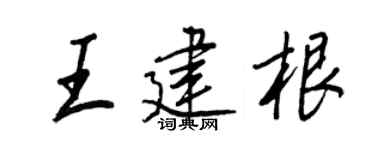 王正良王建根行书个性签名怎么写