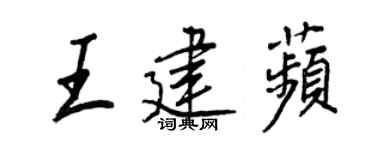 王正良王建苹行书个性签名怎么写