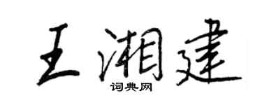 王正良王湘建行书个性签名怎么写