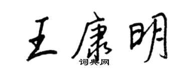 王正良王康明行书个性签名怎么写