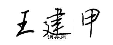 王正良王建甲行书个性签名怎么写