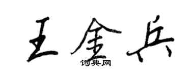 王正良王金兵行书个性签名怎么写