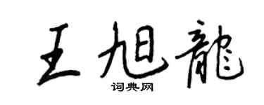 王正良王旭龙行书个性签名怎么写