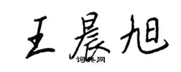 王正良王晨旭行书个性签名怎么写