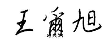 王正良王尔旭行书个性签名怎么写