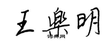 王正良王乐明行书个性签名怎么写