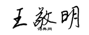 王正良王敬明行书个性签名怎么写