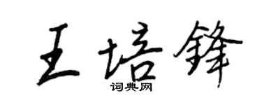 王正良王培锋行书个性签名怎么写