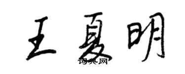 王正良王夏明行书个性签名怎么写
