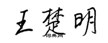 王正良王楚明行书个性签名怎么写