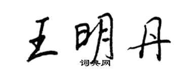 王正良王明丹行书个性签名怎么写