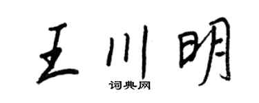 王正良王川明行书个性签名怎么写