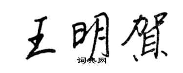 王正良王明贺行书个性签名怎么写
