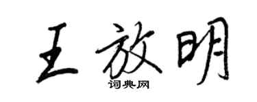 王正良王放明行书个性签名怎么写