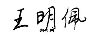王正良王明佩行书个性签名怎么写