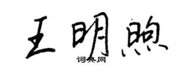 王正良王明煦行书个性签名怎么写