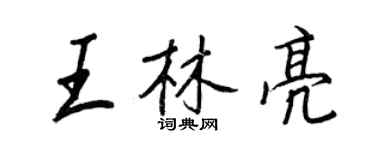 王正良王林亮行书个性签名怎么写