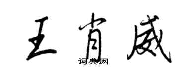 王正良王肖威行书个性签名怎么写