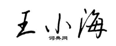 王正良王小海行书个性签名怎么写