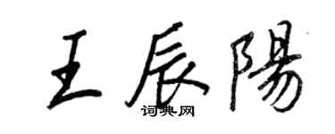 王正良王辰阳行书个性签名怎么写