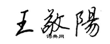 王正良王敬阳行书个性签名怎么写