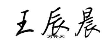 王正良王辰晨行书个性签名怎么写