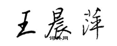王正良王晨萍行书个性签名怎么写