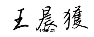 王正良王晨获行书个性签名怎么写