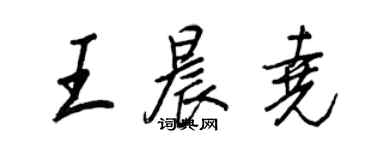 王正良王晨尧行书个性签名怎么写