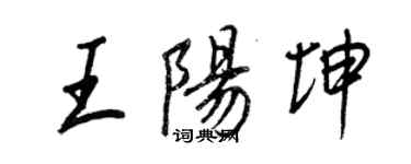 王正良王阳坤行书个性签名怎么写