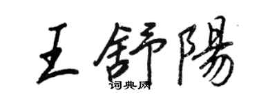 王正良王舒阳行书个性签名怎么写