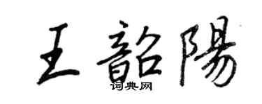 王正良王韶阳行书个性签名怎么写