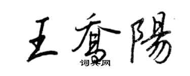 王正良王乔阳行书个性签名怎么写