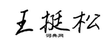 王正良王挺松行书个性签名怎么写
