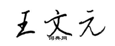 王正良王文元行书个性签名怎么写