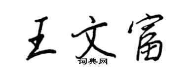 王正良王文富行书个性签名怎么写