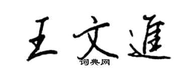 王正良王文进行书个性签名怎么写