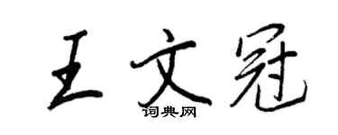 王正良王文冠行书个性签名怎么写