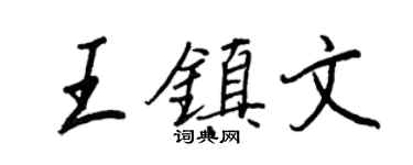 王正良王镇文行书个性签名怎么写