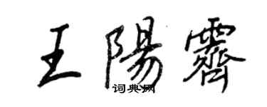 王正良王阳霁行书个性签名怎么写