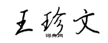 王正良王珍文行书个性签名怎么写